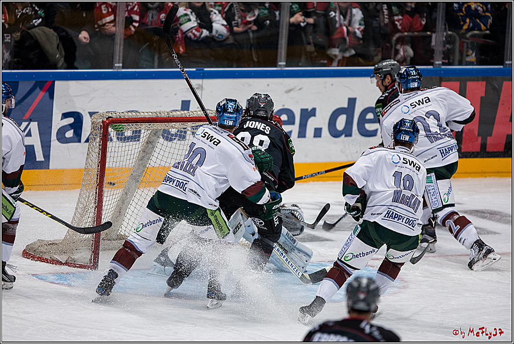 DEL, Koelner Haie - Augsburger Panther, 13.01.2017